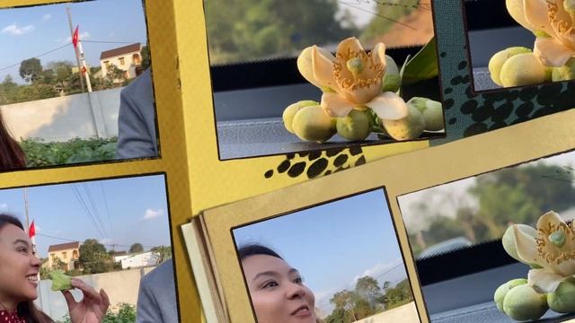 LUNAR NEW YEAR IN VIETNAM | IN THE COUNTRYSIDE (NGHE AN) | TET SERIES | #WHATTHEPHO смотреть онлайн