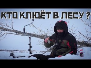 ЗАКОРМИЛ КЛУБНИКОЙ ЗАТОПЛЕННЫЙ ЛЕС! Она поднимает кивок КРАСИВО! Это плотва