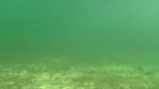 Воблер SOLID TAIL DEEP 86F SKAGIT DESIGNS Диповый глубоководный воблер для ловли щуки и судака смотреть онлайн