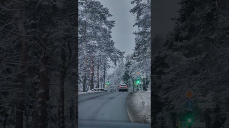 Зима в Петербурге ❄️Не знаю, может старею, но сегодня я насладилась морозом и снегом!