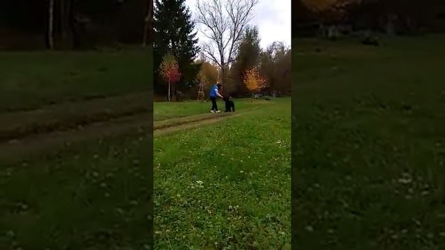 12 октября 2017 г. смотреть онлайн