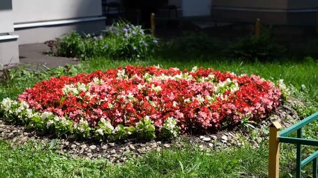 Палисадник на улице Толбухина стал местной достопримечательностью
