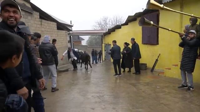 Лаҳзаҳои гуворо 2024 смотреть онлайн