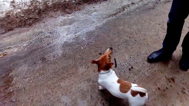 Ранней весной. 6 мес. смотреть онлайн