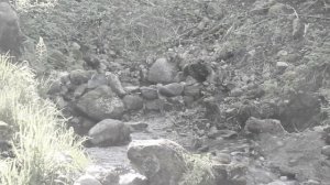 д. Серафимовка Боровичского район. Престольный праздник ДЕСЯТАЯ ПЯТНИЦА