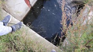 АЙФОН !? СуперУлов на Поисковый Магнит !  Магнитная Рыбалка на Озере