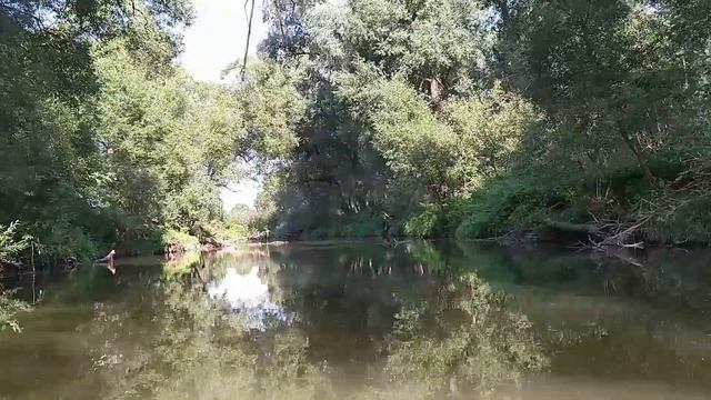 Десна часть вторая.