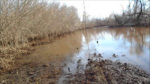 угроза миновала, вода отступает