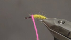 Tying a Czech Nymph Fly - Advanced Fly Tying Tutorial