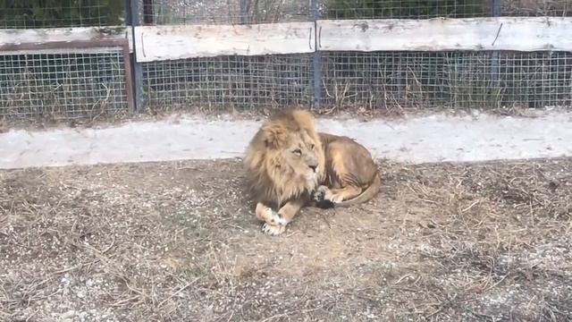 Олег Зубков: о судьбе Малыша смотреть онлайн