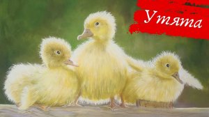 Как нарисовать утят гуашью | Полный пошаговый урок рисования