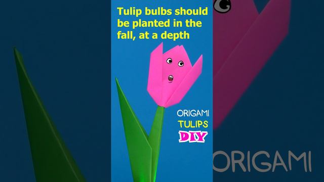 Secrets of tulips. Paper tulip origami