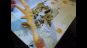 Как ЗАБИТЬ и РАЗДЕЛАТЬ КУРИЦУ самостоятельно.
