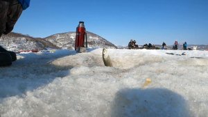 Рыбалка на Камчатке,оз. Вилюй,Корюшка