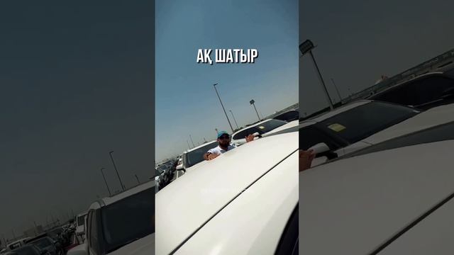 TOYOTA COROLLA NEW??Хочешь узнать цену авто? Сморите это видео до конца!!!??Хочешь приобрести авто?