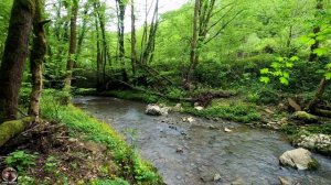 Гора Ахун - Мацеста, пешком. Разбираемся с указателями. 05.23 #ахун #гораахун #орлиныескалы #hiking