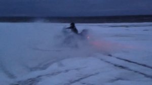"На белом покрывале января"