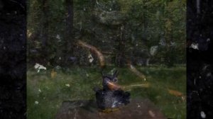 мультипликационный фильм _Необычная лесная история_.