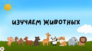 Изучаем животных! Развивающие мультики для детей.