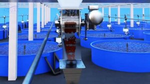 Новая эпоха рыбоводства AQUAL Умные рыбные фермы!