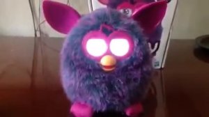 Обзор Furby