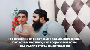 СУПЕР УЧИТЕЛЬ КОРАНА - Хаммад Саджид | Сура Аль-Гашия [ "Сура 88 "Покрывающее" 17-20 ]