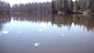 как достать утку из воды