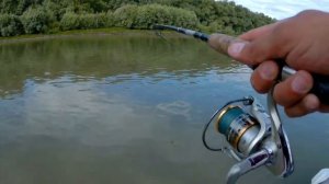 Крупная щука на Иртыше. Не взвешенный трофей)))