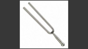 Физика 9 класс. §33 Отражение звука. Звуковой резонанс