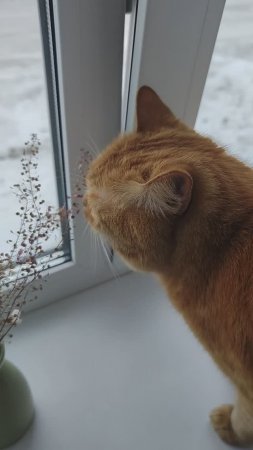 Такое вот у нас утро