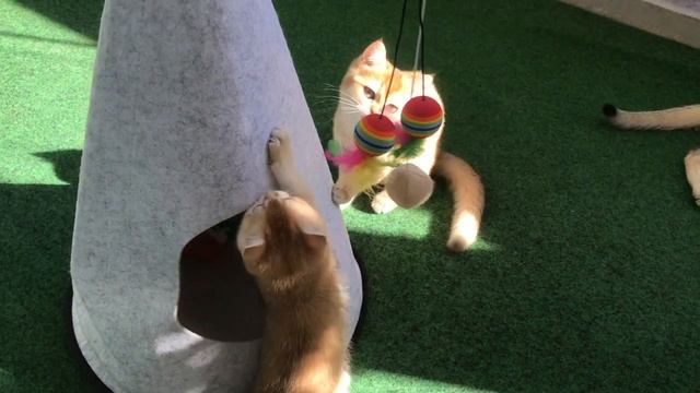 🙀🙀🙀КАК ПРОХОДЯТ РОДЫ🤩😻🤩МОЙ ОПЫТ😻😺😸