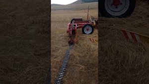 Ошибка. Не в прошлом году, а нынче весной купил))) Впервые вижу как косит "двухбруска" ?