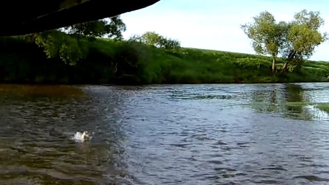 Ловля голавля на перекате. Удачная голавлиная рыбалка  спиннингом.
