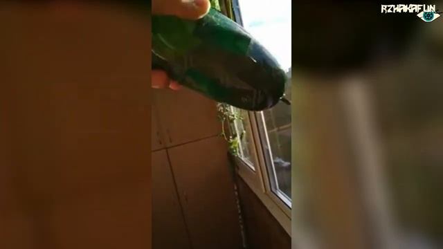 Что Станет с Докторской Колбасой За Несколько Месяцев Под Шкафом смотреть онлайн