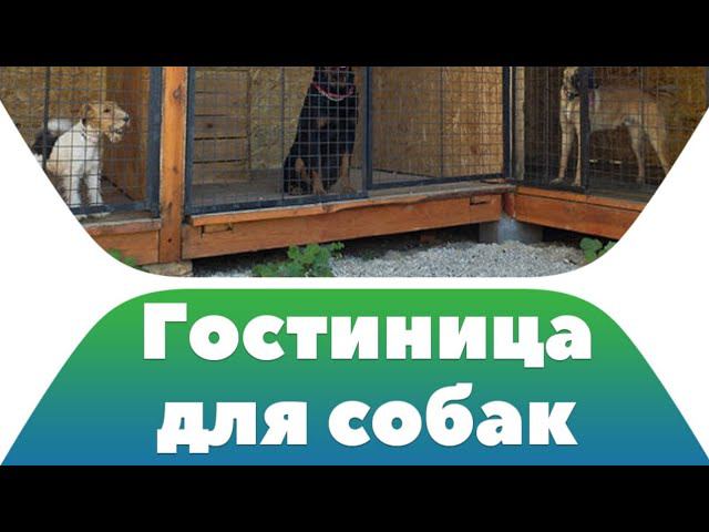 зоогостиница передержка собак в г. Стерлитамак