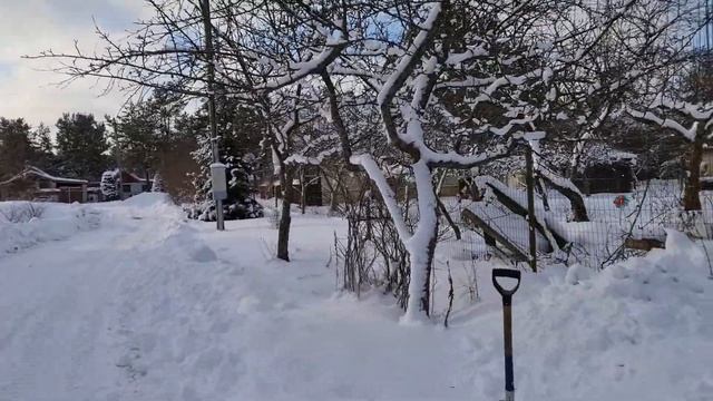 4154 Внесение органического удобрения мочевины
