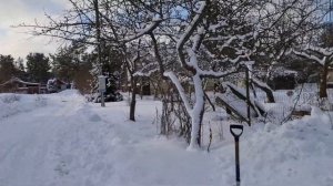 4154 Внесение органического удобрения мочевины