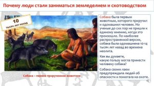 Почему люди начали заниматься земледелием и скотоводством. Всемирная история. 5 класс