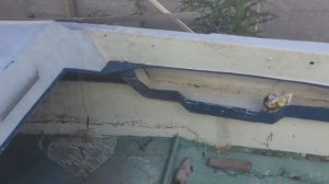 ремонт катера Тэмп ч1