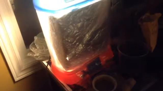 drosera tokaiensis update смотреть онлайн