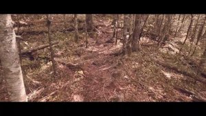 Гора «Лысый Дед» 1120 м. Приморский край