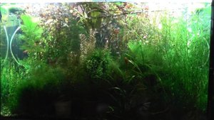 Миф 6. Буфер воды