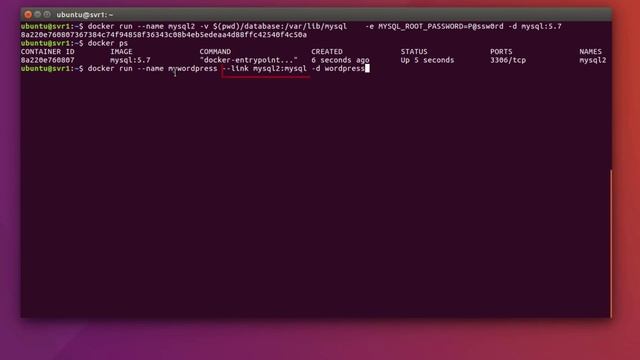 Docker สำหรับผู้เริ่มต้น:EP.8 Link Container คืออะไร และใช้งานอย่างไร смотреть онлайн