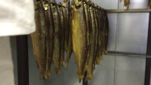 Ряпушка холодного копчения в Ижица-1200М3 - 2