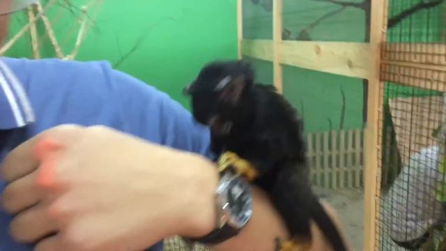 Томас и часы смотреть онлайн