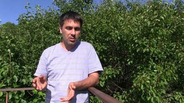 Выбор оборудования для солнечной электростанции