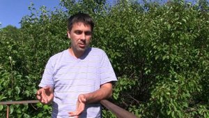 Выбор оборудования для солнечной электростанции