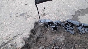 Концепция ямочного ремонта Мустанг мини.