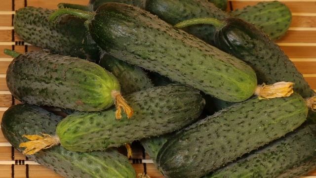 Огурец Хрустяшка F1. Мы хрустим и понимаем, что Хрустяшку обожаем! смотреть онлайн