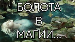 БОЛОТА  В МАГИИ...